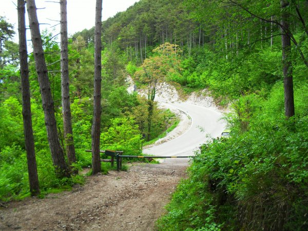 Fork
on SP 131, end of the Strada della Flora