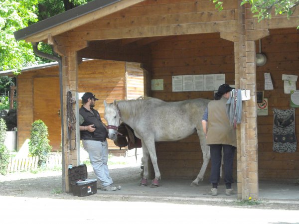 Riding school
