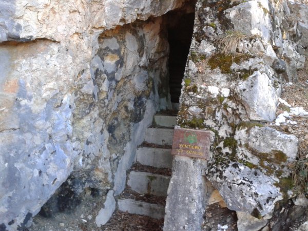 Tunnel entrance
