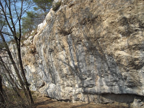Left sector
