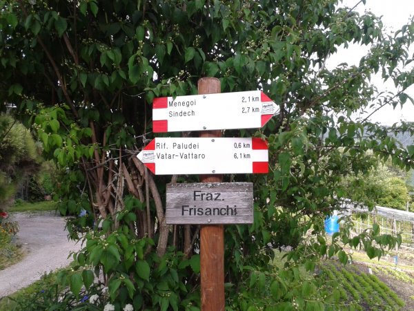 Signs
at Localitá Frisanchi