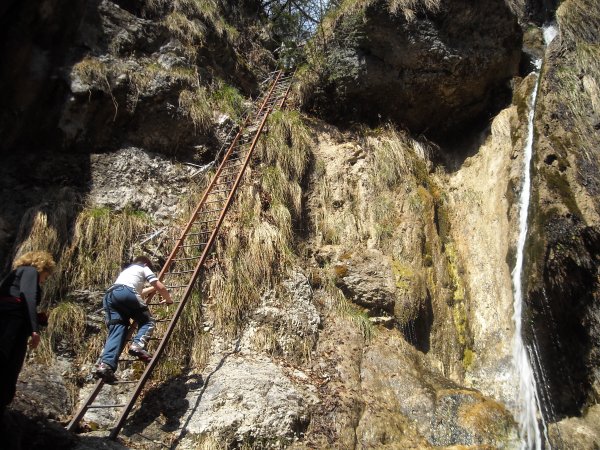 Last ladder
