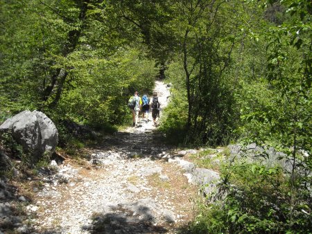 /treks/europe/it/tn/val-d-adige/rovereto/ferrata-marangoni/sentiero.jpg