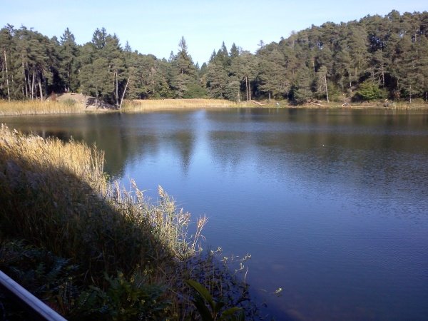 /treks/europe/it/tn/val-di-cembra/sponda-sinistra/lago-di-santa-colomba/img227/image.jpg