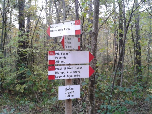 Location Bosco Grande
and fork