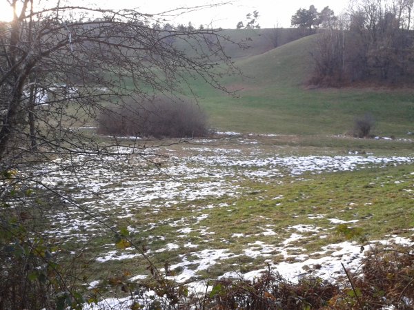 Clearing
