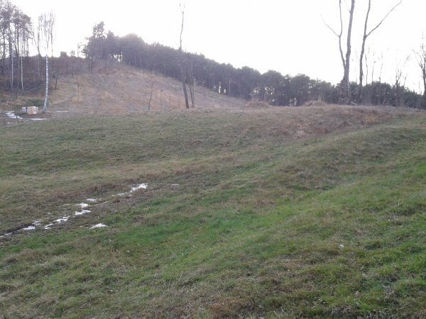 Clearing
