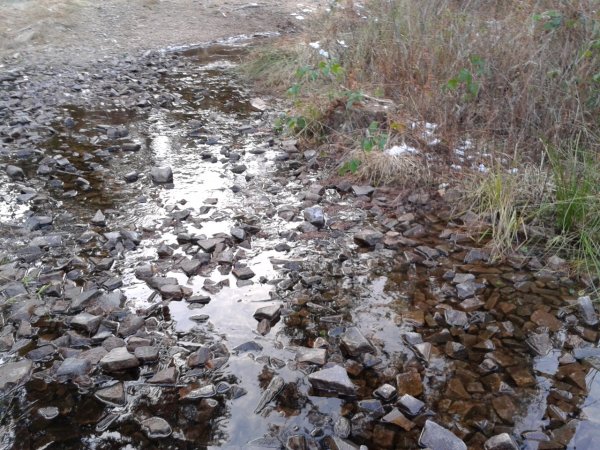 Stream
