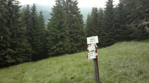 Clearing of Stavel
altitude 1720 m