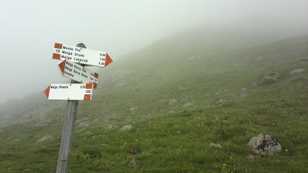 Fork to Malga Binasia
paths 131 and 131b