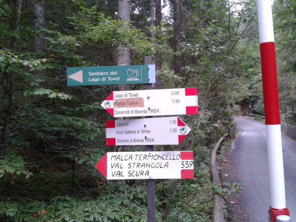 Fork
and start of trail