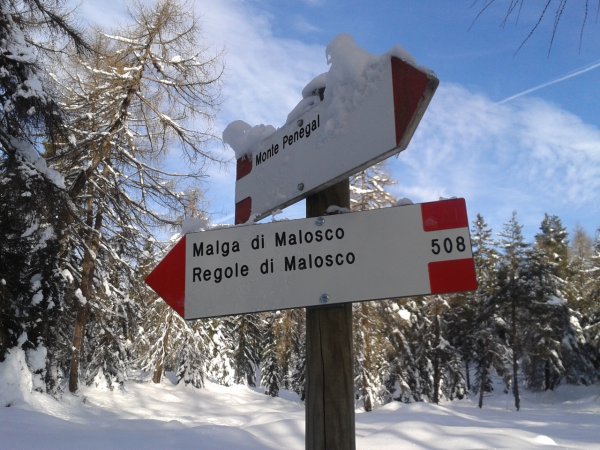 Signpost
