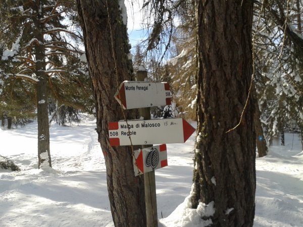Signpost
