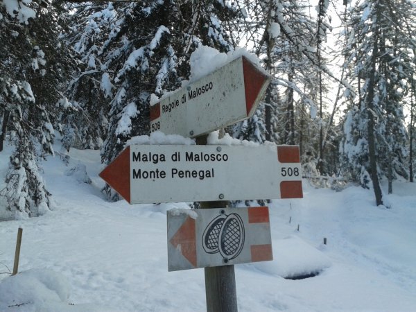 Signpost
