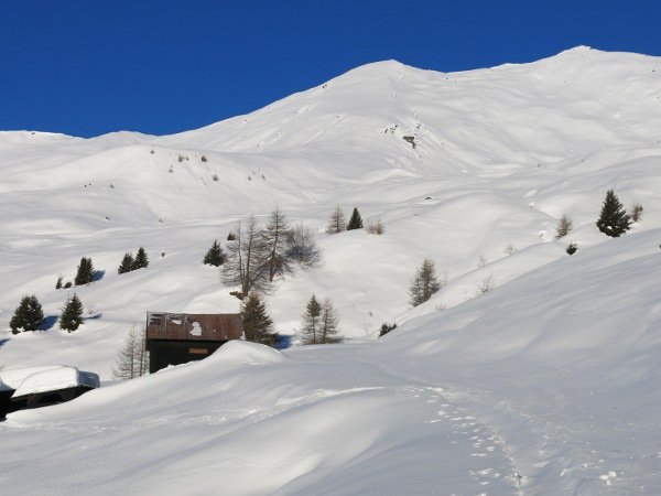 Hut
