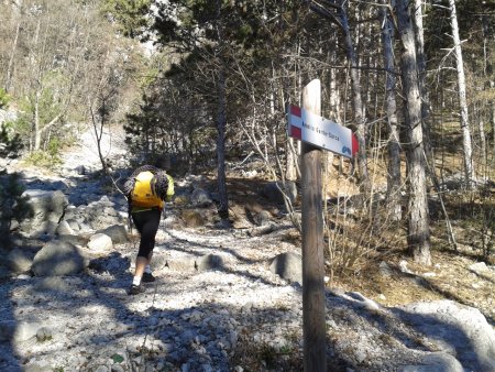 /treks/europe/it/tn/valle-del-sarca/cima-alle-coste/la-bellezza-della-venere/bivuo/image.jpg