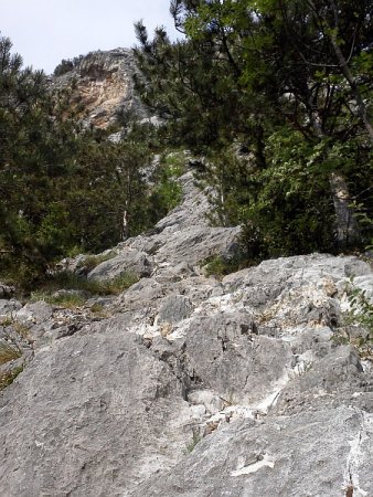 /treks/europe/it/tn/valle-del-sarca/cima-alle-coste/la-bellezza-della-venere/img032.jpg