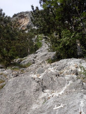 /treks/europe/it/tn/valle-del-sarca/cima-alle-coste/la-bellezza-della-venere/img032.jpg