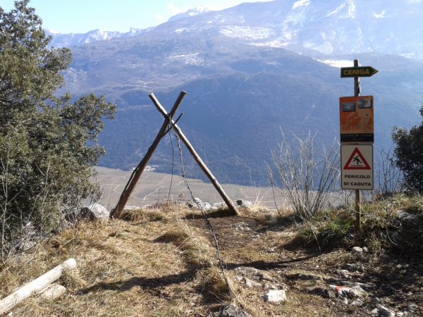 Cavra de Lizon
