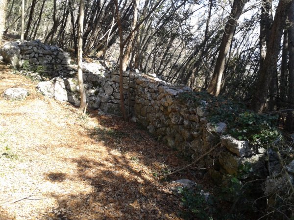 Ruins
