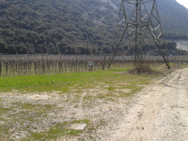 Pitch
near pylons