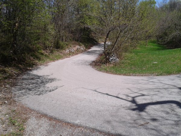 Fork with road
