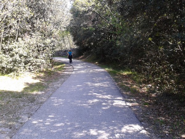 Fork with road
