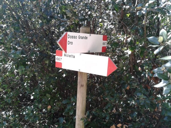 Crossroad
