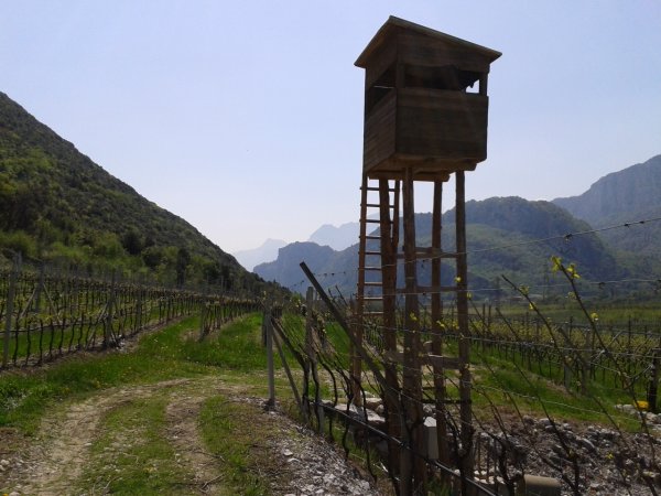 Hut
and signs