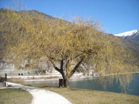 /treks/europe/it/tn/valle-di-ledro/lago-di-ledro/lago-di-ledro/dscn4055/image.jpg