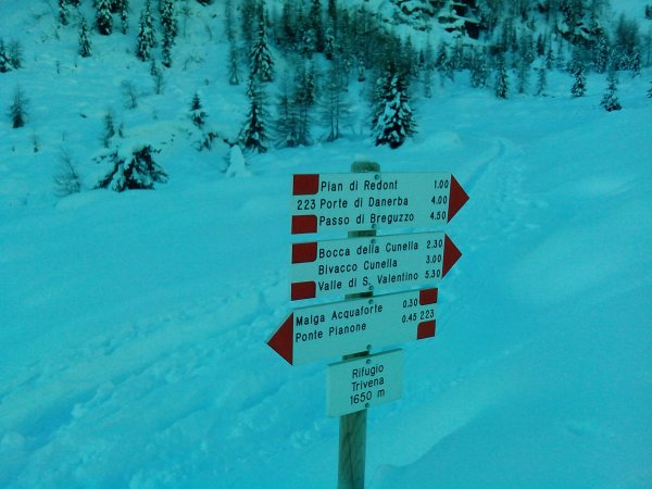 Indications
