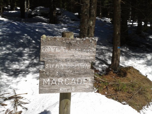 Fork
Location Marcadei
