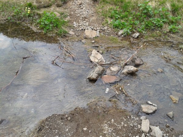 Stream
to be waded