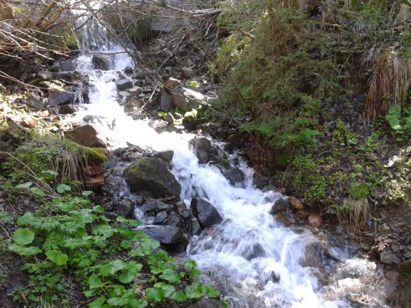 Stream
ford