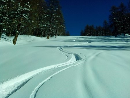 discesa su vecchia pista!