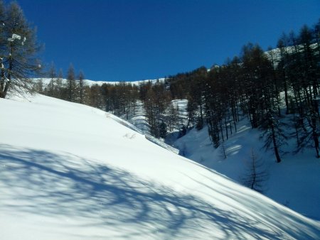 verso la fine del bosco