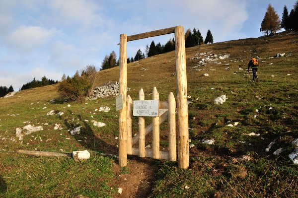 Gate
