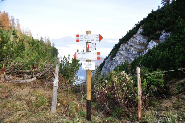 Bocchetta Larici

