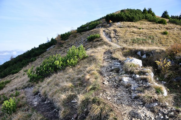Fork on the ridge
