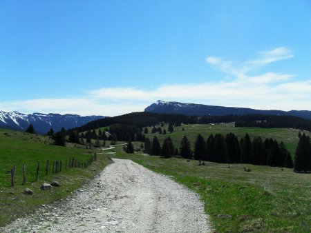 prima parte dell'itinerario sullo sfondo il Verena