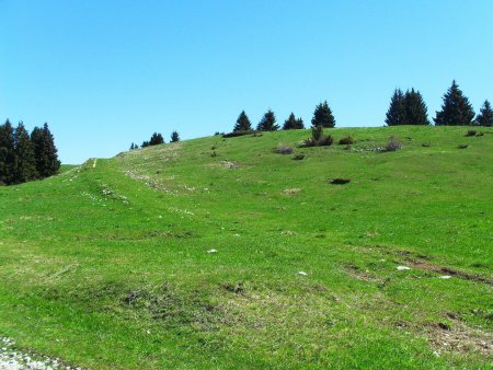 primo bivio deviazione per il bosco