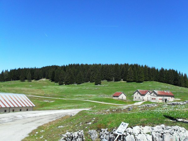 Fork to Malga Mandriele
possibility of shortcut