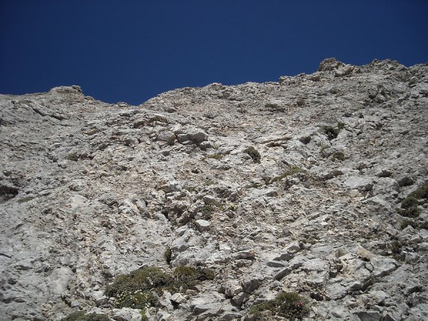 DSCN9150