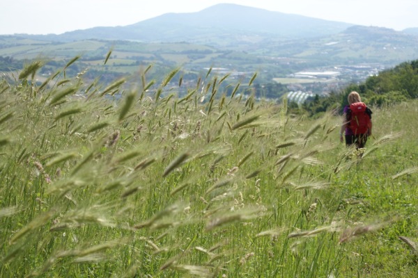 Cammino delle Ginestre
Marche: da Fabriano al Conero