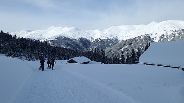 Zirog
