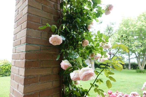B&B Il Giardino delle Rose