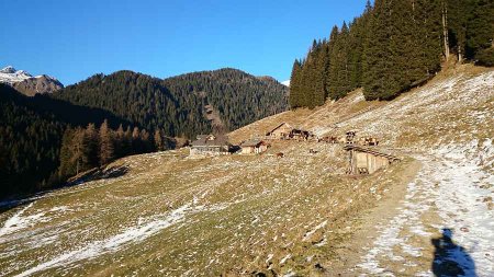 Agritur Caserine