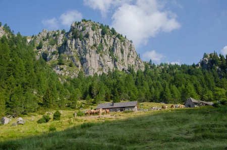 Malga Fierollo di Sopra