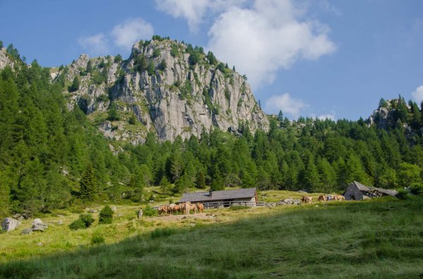 Malga Fierollo di Sopra
