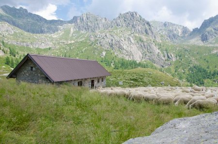 Malga Ravetta di Sopra